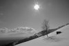 DSC_0126bn 5-3-2010.jpg