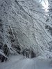 20180227_164002b.jpg