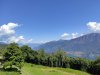 IMG_20200818_123954.jpg