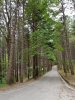 20200818_111813.jpg
