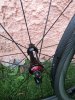IMG_20200819_173213.jpg
