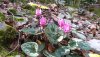 20200821_115325.jpg