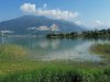 IMG_20200820_104528.jpg