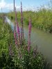 20200824_162648.jpg