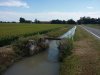 20200824_155937.jpg 20200824_155937.jpg