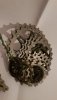 Pacco pignoni 11V - Shimano durace 11,28