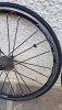 20200825_080204.jpg