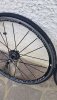 20200825_080219.jpg