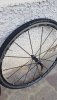 20200825_080222.jpg
