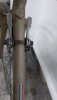 20200514_175236.jpg