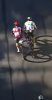 1598957159692.png
