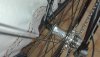 IMG_20200901_173518.jpg
