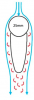 1599250043867.png