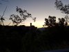 20200905_062109.jpg