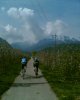 Ciclabile tra i meleti in fiore.jpg