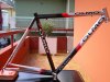 olmo 002.jpg