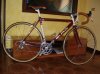 olmo 017.jpg