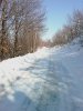 IMAGE_289.jpg