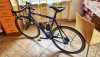 Gios Carbon mis.53