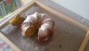 20200909_165234.jpg