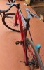 20200911_150801.jpg