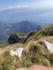 IMG_20200912_120949.jpg