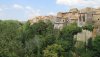 IMG_4739.JPG