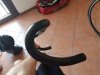 20200912_124532.jpg