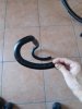 20200912_124554.jpg