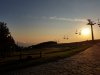 20200919_072839.jpg