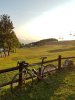 20200919_072916.jpg