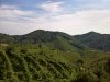 IMG-20200920-WA0012.jpg