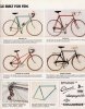 Bianchi  catalogo USA 1981 pg3 bulgier.jpg