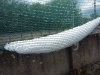 20200925_114517.jpg 20200925_114517.jpg