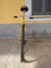 IMG20200926104420_ridimensionare.jpg