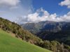 IMG_20200927_102048.jpg