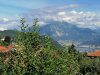IMG_20200927_104826.jpg