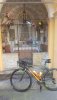 20200821_083337.jpg