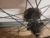 20190601_204359.jpg