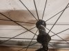 20190601_204348.jpg