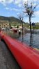 IMG-20201004-WA0001.jpg