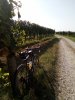 IMG_20200920_102824.jpg