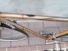 IMG_20201006_183033.jpg