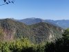 IMG_20201008_134057.jpg