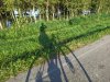 IMG_20201006_083458.jpg