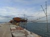 IMG_20201006_172502.jpg