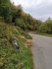 IMG_20201010_165132.jpg