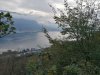 IMG_20201011_104112.jpg