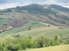 verso Cagli.jpg