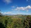 20201013_110829.jpg